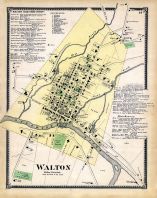 Walton 2, Delaware County 1869
